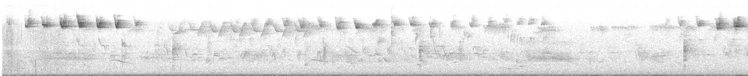 Paruline rayée - ML619586204