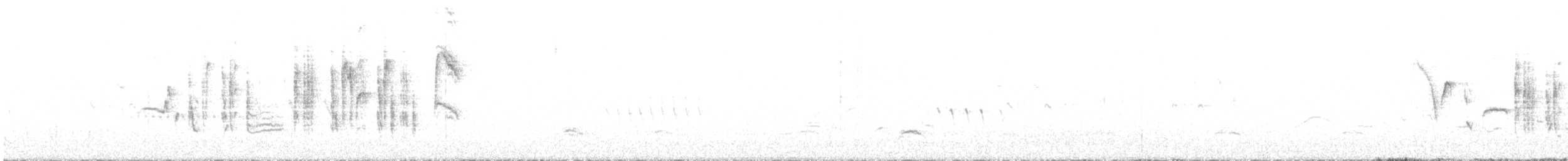 Txinbo papargorrizta iberiarra - ML619586832