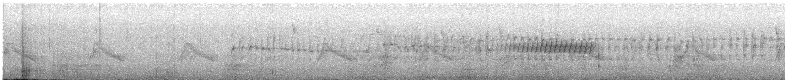 ムナジロアマツバメ - ML619588125