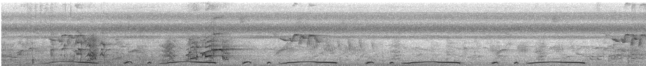 holub neotropický - ML619588469
