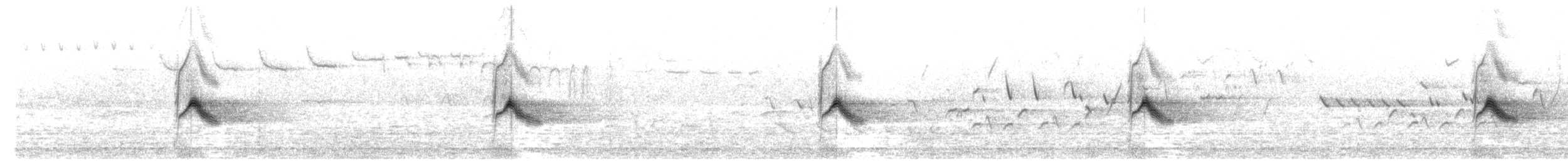 Дрізд-короткодзьоб канадський - ML619589124