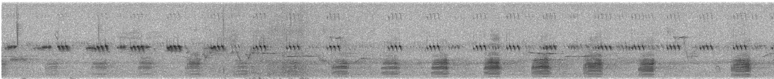 Stockente - ML619589197