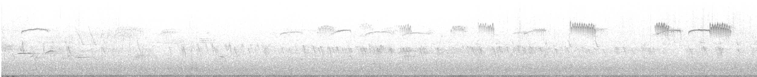 "Шишкар ялиновий (Western Hemlock, або тип 3)" - ML619589330