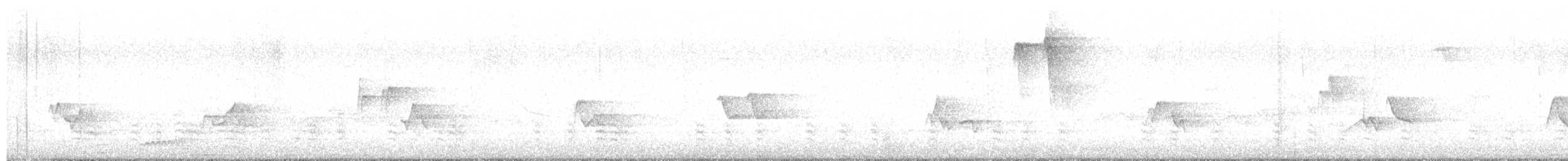 Weißbrustkleiber (carolinensis) - ML619589441