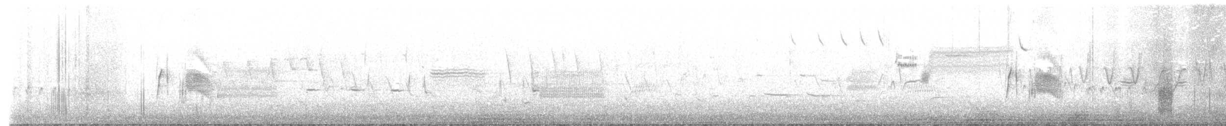 Weidenschnäppertyrann - ML619590608