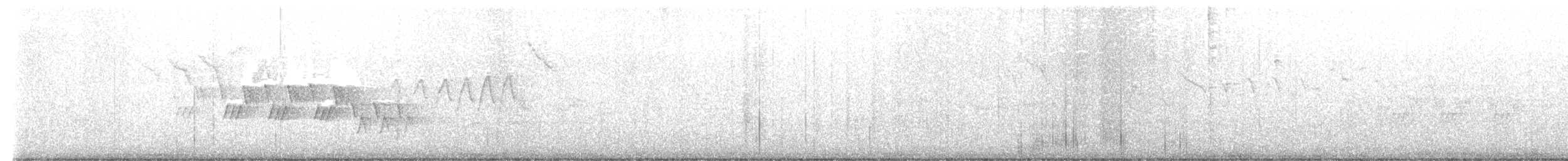 Черногорлая хвойница - ML619590680