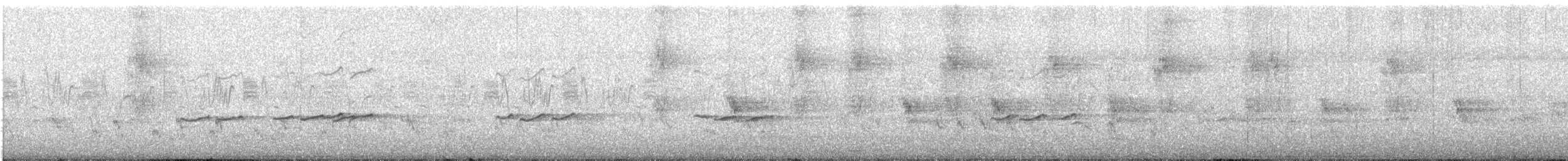 Gray-tailed Tattler - ML619591261
