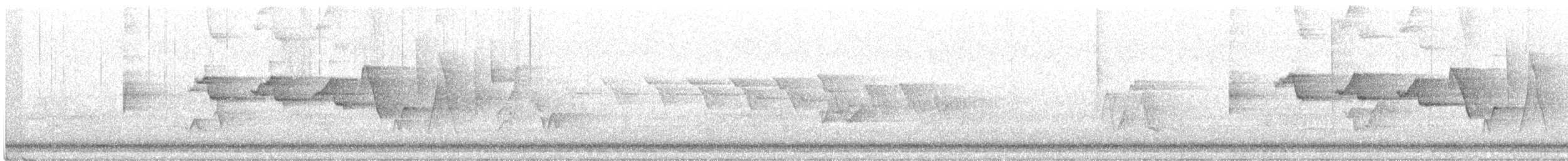 Трясогузковый певун - ML619591838