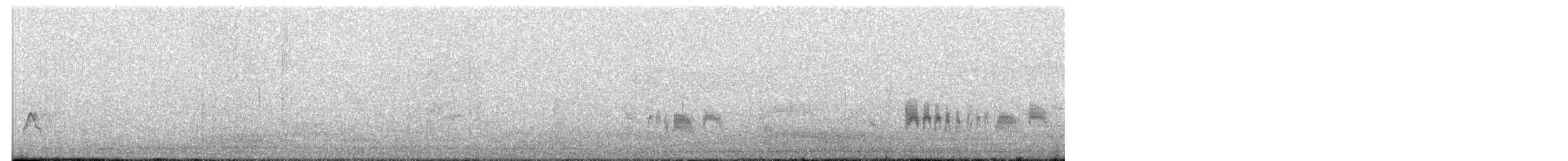 エボシキクタイランチョウ - ML619592490