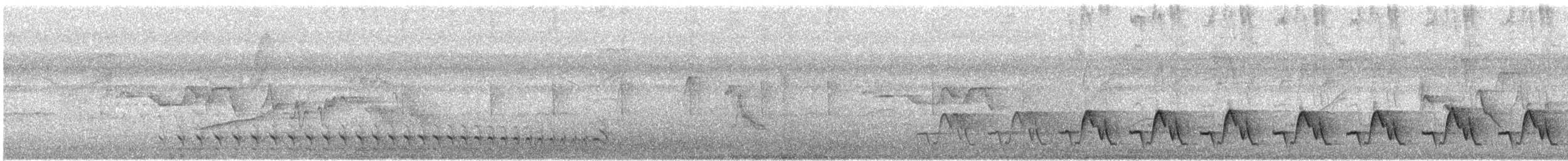 Açık Suratlı Çıtkuşu - ML619592821