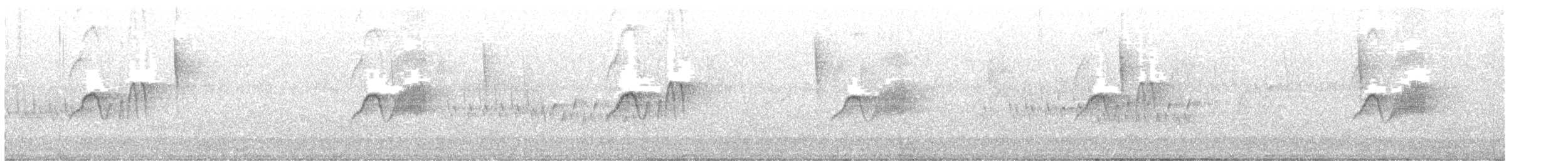 Светлобрюхий фиби - ML619592916