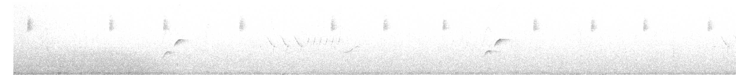 Batı Amerika Sinekkapanı (occidentalis/hellmayri) - ML619594098