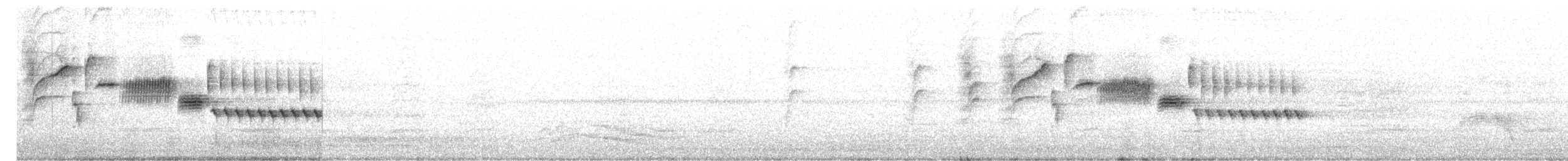 Bewick Çıtkuşu - ML619594172