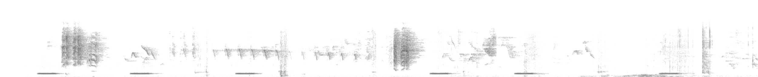 holoubek šedomodrý - ML619594950
