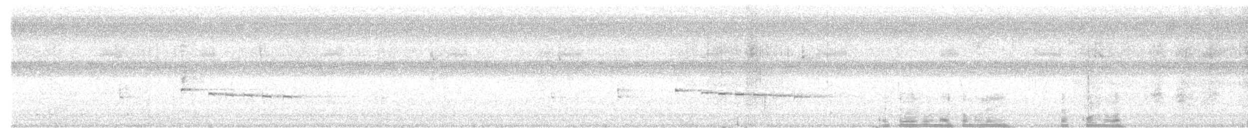Серогрудый коростелёк - ML619596602