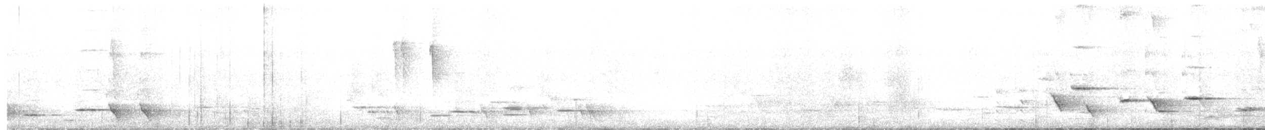 Méliphage carillonneur - ML619597774