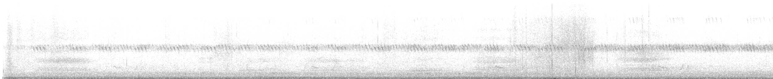 lelek karolinský - ML619598570
