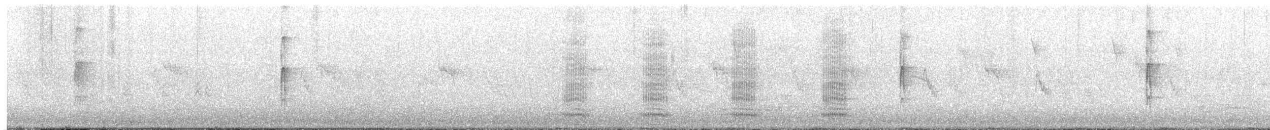 Ladder-backed Woodpecker - ML619598591