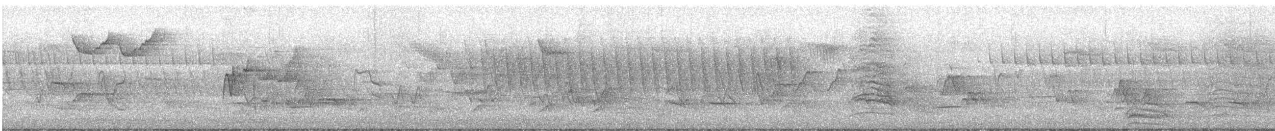 østempid - ML619598881