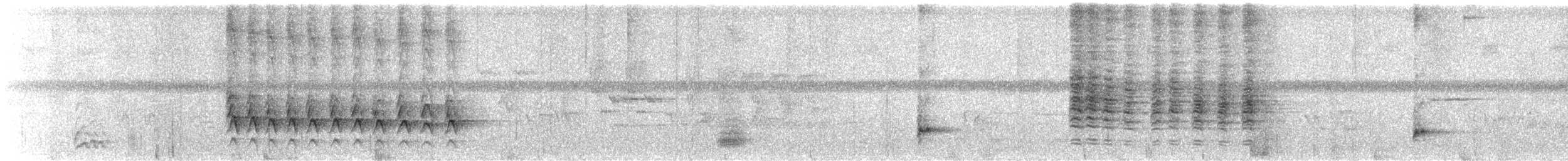 Ictérie polyglotte - ML619599378