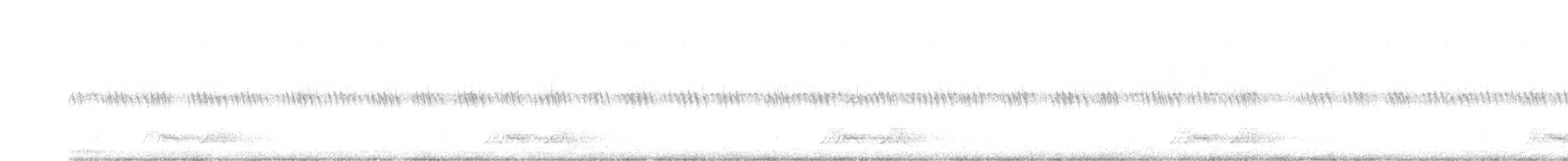 lelek karolinský - ML619599972