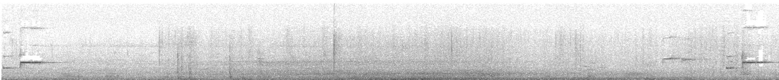 Розела білогорла - ML619600129