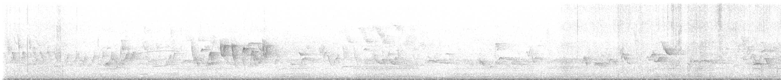 Paruline à gorge grise - ML619600423