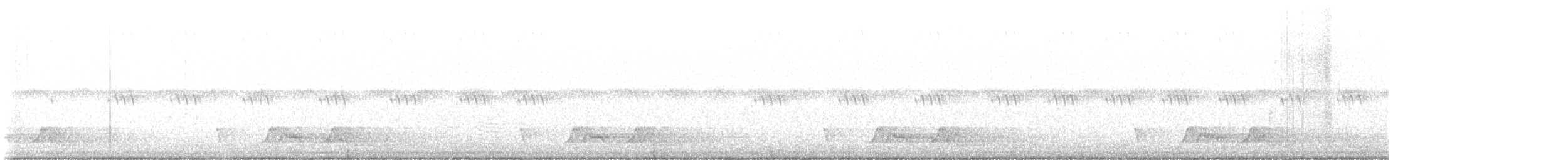 Carolinanachtschwalbe - ML619600566