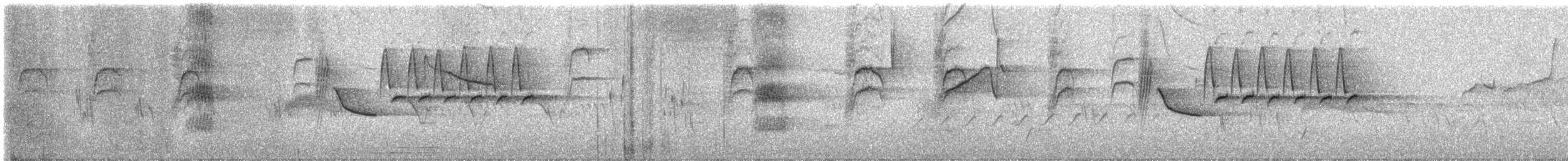 Troglodyte de Bewick - ML619600623