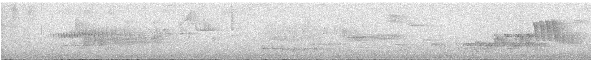 Amerika Çütresi (californicus) - ML619601979