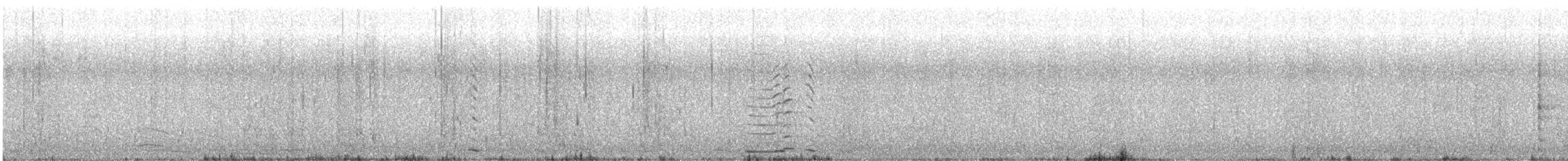 Schwarzschwan - ML619603602