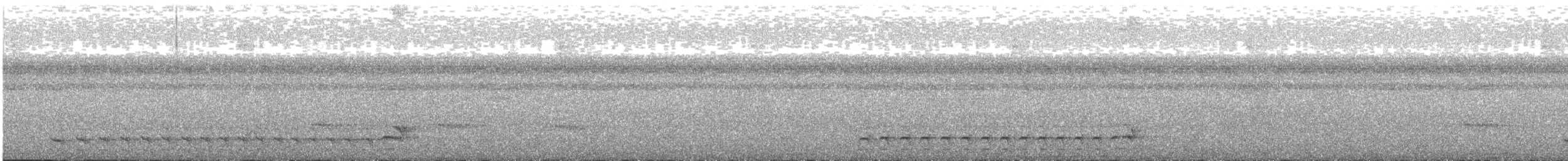 svartnakkemaurvarsler - ML619603696