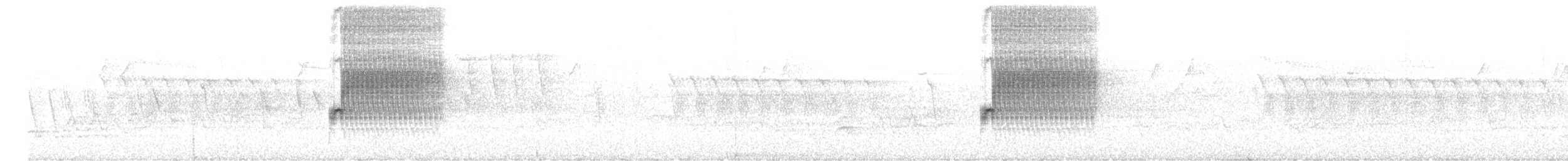Fleckengrundammer [oregonus-Gruppe] - ML619604958