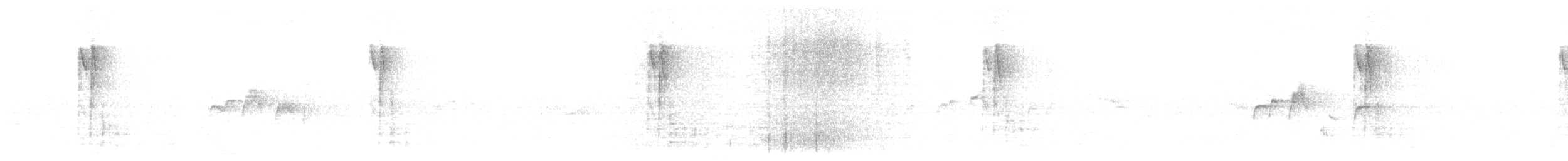 hvitskjegglattertrost - ML619605324