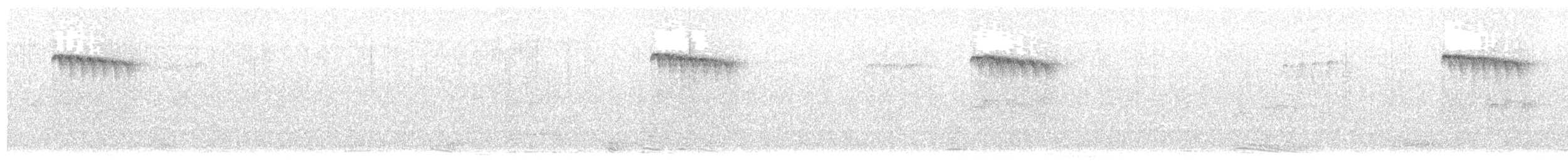 Kara Gerdanlı Uzunkuyruk [concinnus grubu] - ML619605331