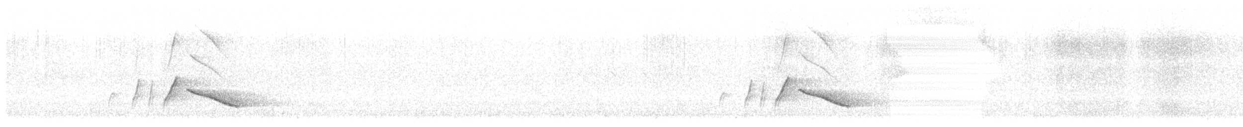 Белоухая сибия - ML619605337