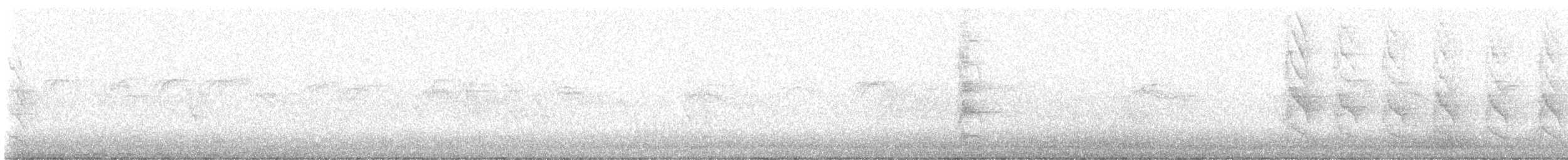 Rose-ringed Parakeet - ML619606984