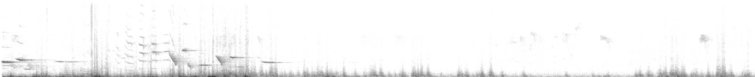 Méliphage carillonneur - ML619608172