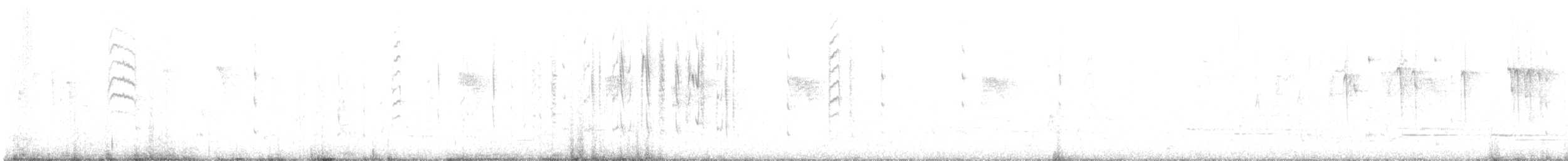 Новозеландская веерохвостка - ML619608177