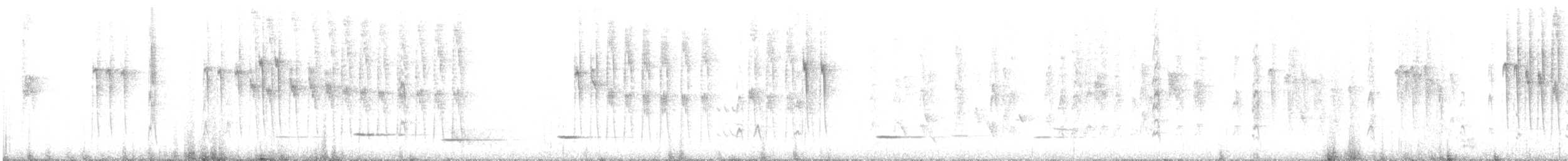 Новозеландская веерохвостка - ML619608178
