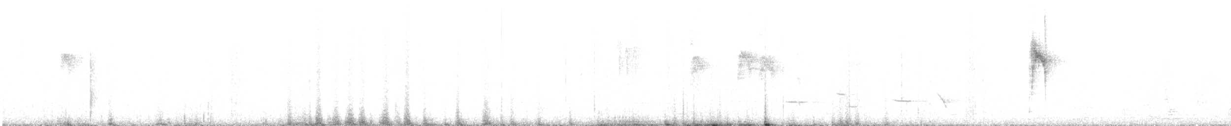 Neuseeland-Fächerschwanz - ML619608179