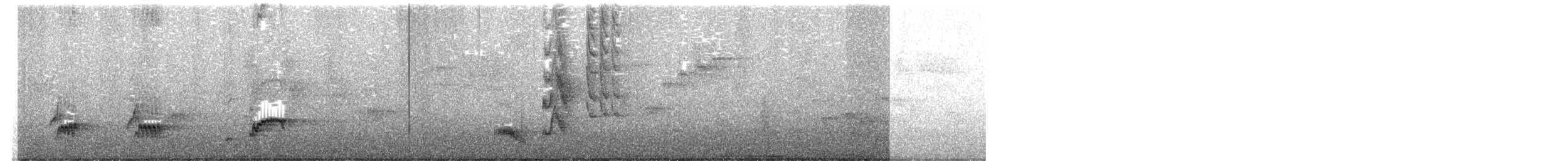 Новозеландская веерохвостка - ML619608252