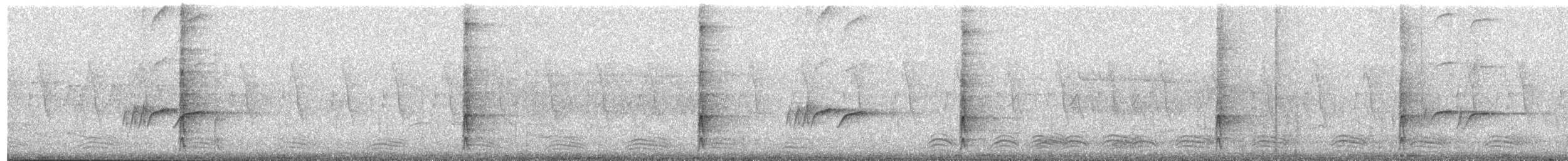 strakapoud bělohřbetý [skupina leucotos] - ML619609600