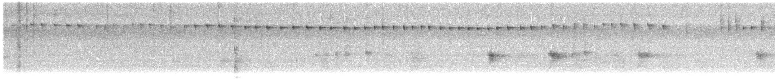 Picumne tacheté - ML619609614