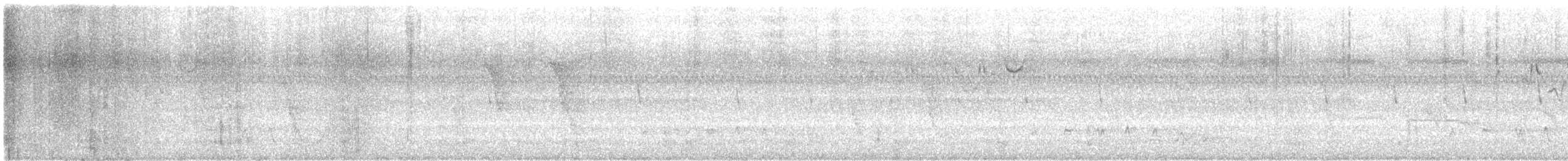 Gray-hooded Warbler - ML619610106
