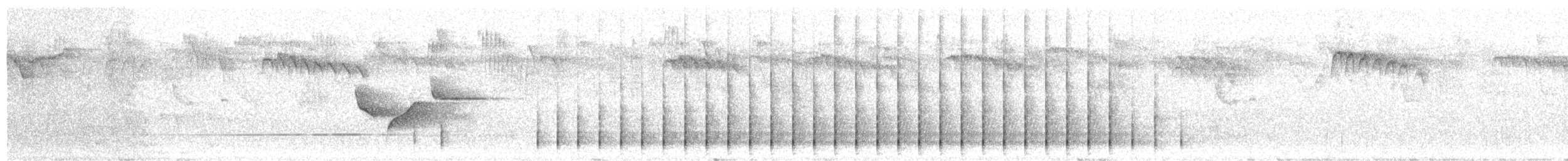 Speckled Piculet - ML619610132