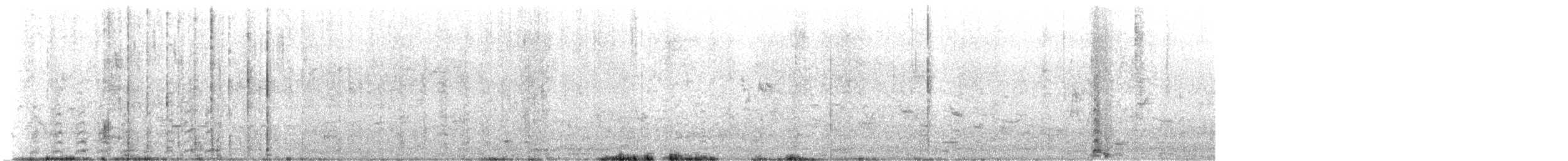 holub skalní (domácí) - ML619610339