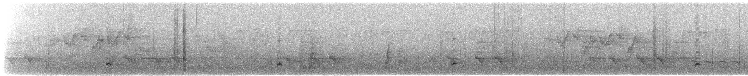 brillegittervinge (ramsayi) - ML619611176