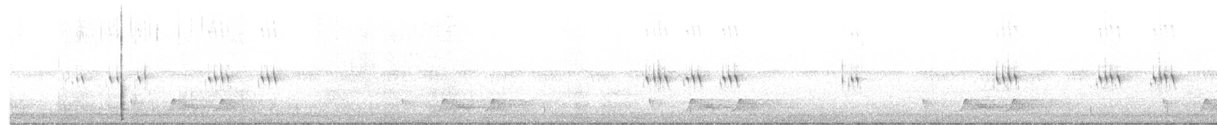 lelek karolinský - ML619611698