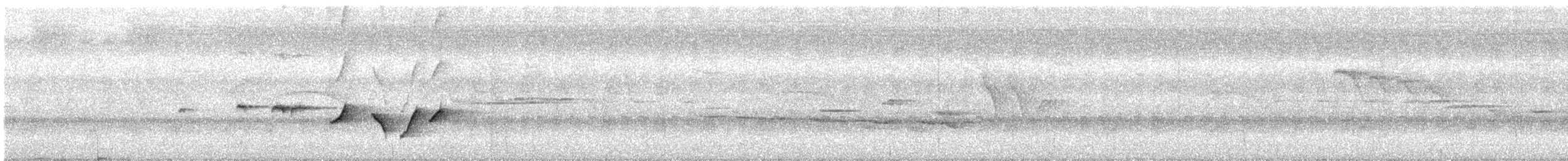 Gray-bellied Tesia - ML619611883